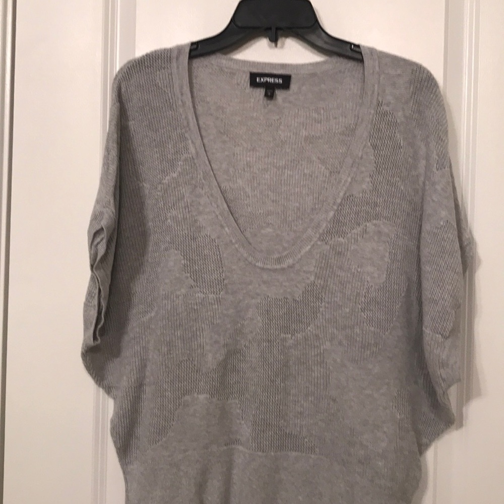 Express light weight V-neck Sweater
